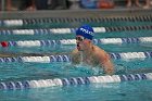 Swim vs Bentley  Wheaton College Swimming & Diving vs Bentley University. - Photo by Keith Nordstrom : Wheaton, Swimming & Diving